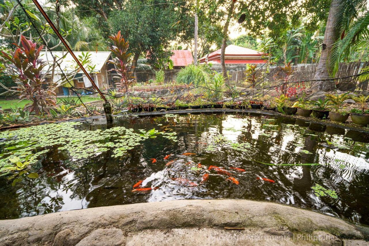 Apo Vista Apartments Diving Room Zamboanguita  Exterior foto